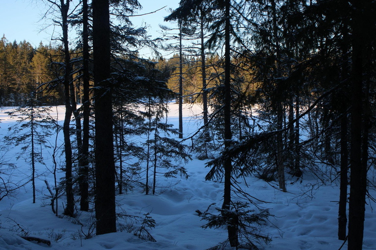 Vettakollen: Breathtaking Panoramic Views of the Oslofjord Vettakollen: Breathtaking views of the Oslofjord