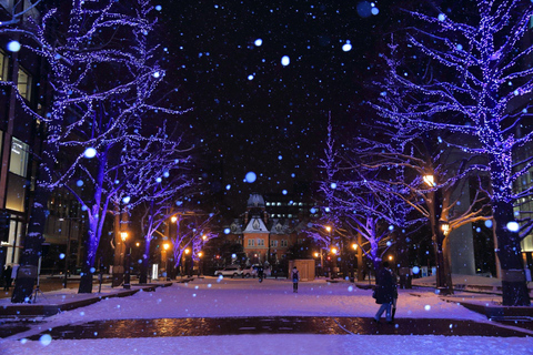 Sapporo: Illuminated Landmarks and TV Tower Night View Tour