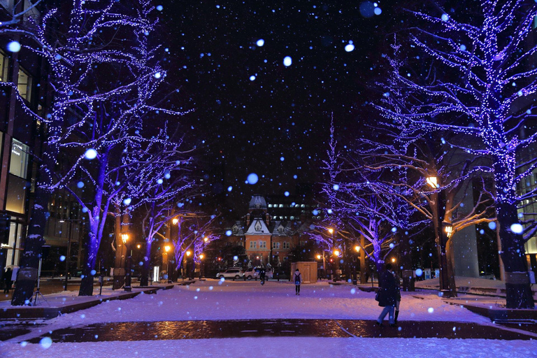 Sapporo: Illuminated Landmarks and TV Tower Night View Tour