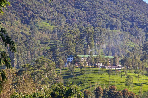 Pekoe Trail 10-16: 8-Day Guide Trail with Hotels & Transfers