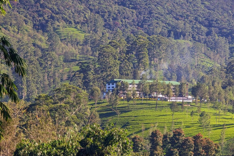 Pekoe Trail 10-16: 8-Day Guide Trail with Hotels & Transfers