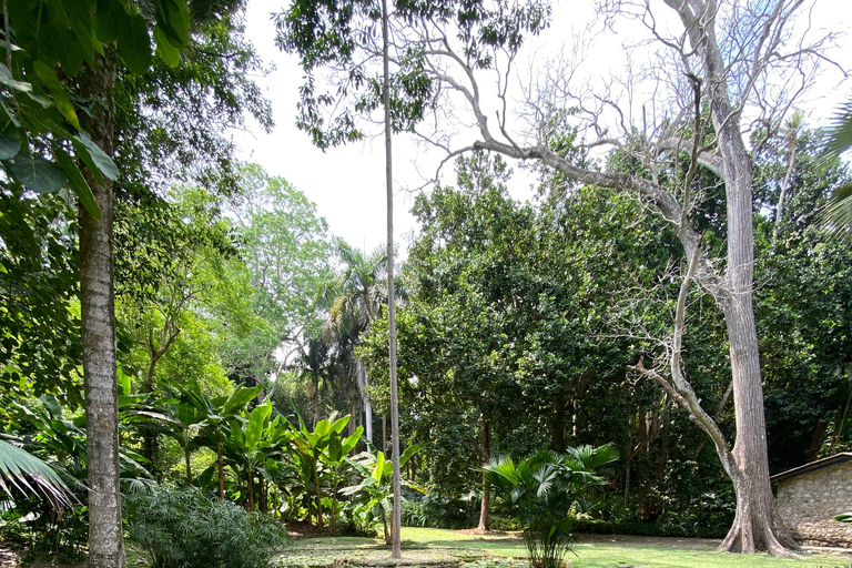 Cartagena: Guided Experience in the Botanical Garden