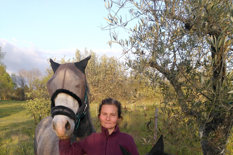 Trancoso: Tour ecologico della fattoria con degustazione