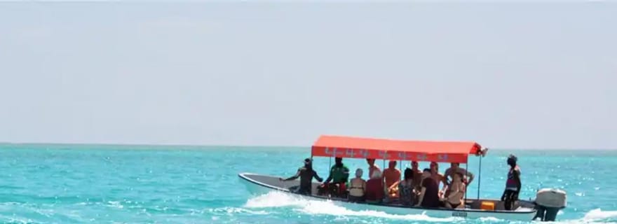 Zanzibar : excursion pour observer les dauphins à Mnemba, Stone Town et Prison Island