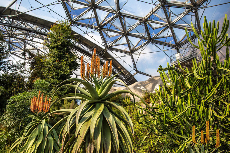 Kornwalia: Bilet wstępu do projektu Eden