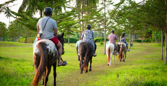 Zanzibar: Horseback Riding Experience