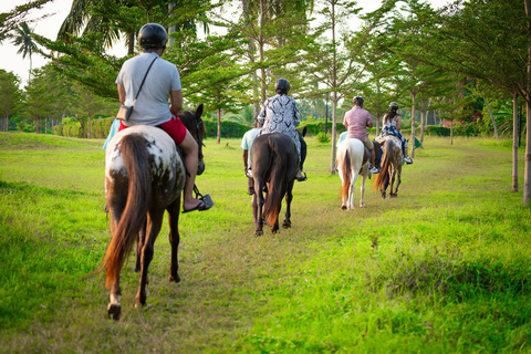Zanzibar: Horseback Riding Experience