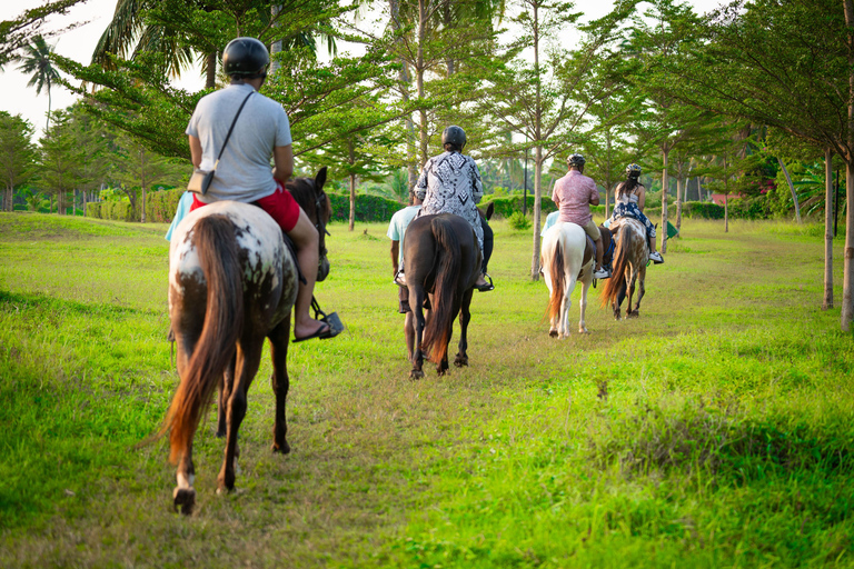 Zanzibar: Horseback Riding Experience