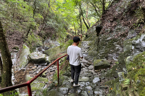 Near KIX: Shugendo Sanctuary of Waterfalls &amp; Tranquility