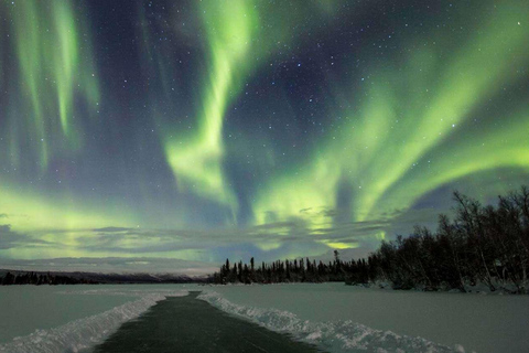 Rovaniemi: Aurora Ice Skating Tour