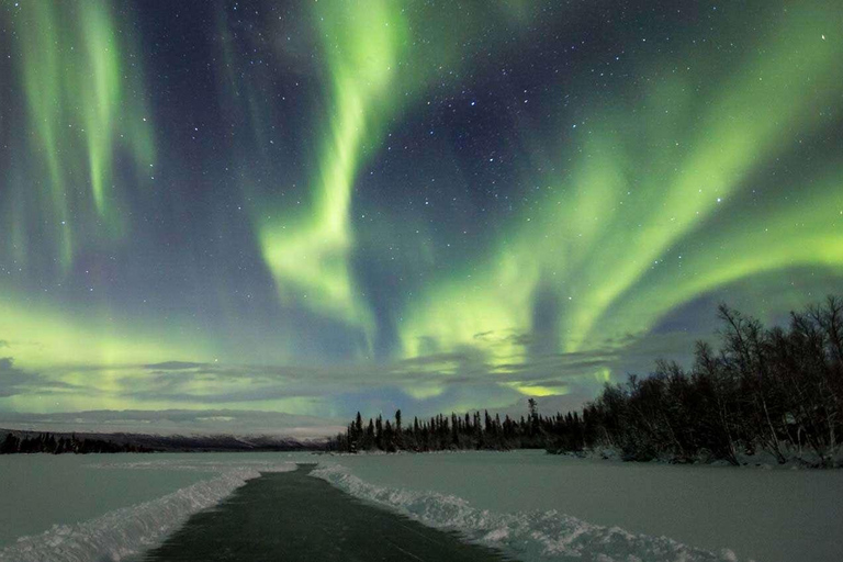 Rovaniemi: Aurora Ice Skating Tour