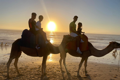 Tamuda Bay: Tangier Private Day Trip with Camel Ride