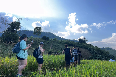 Chiang Rai: Jungle Adventure-Group Trekking & Bamboo Cooking