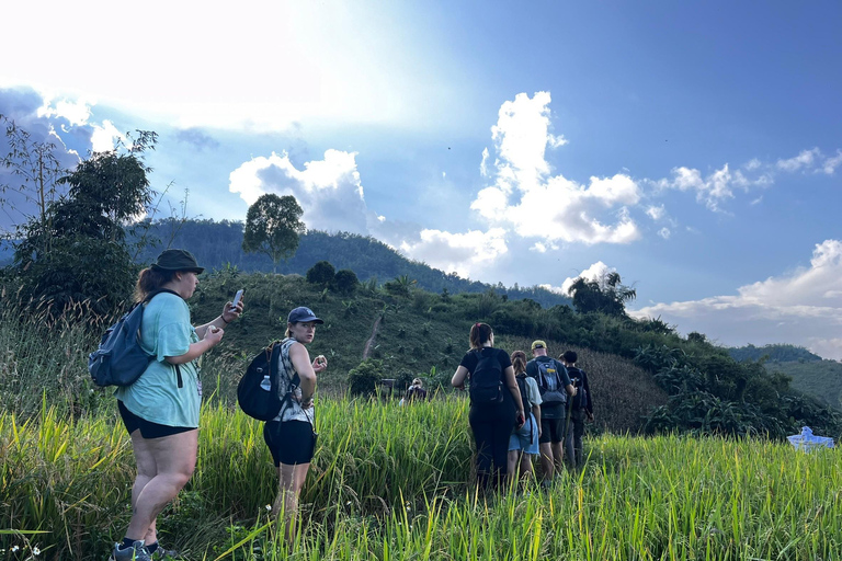 Chiang Rai: Jungle Adventure-Group Trekking & Bamboo Cooking
