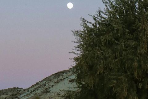 Barbados: Nighttime Full Moon Horseback Riding Tour