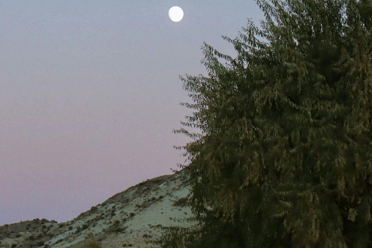 Barbados: Nighttime Full Moon Horseback Riding Tour