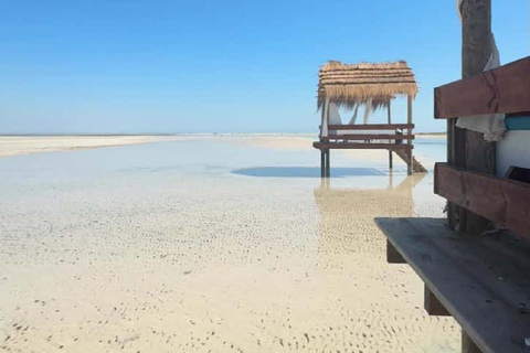 Djerba: Hessi Jerbi Day Trip with Boat Ride & Lunch