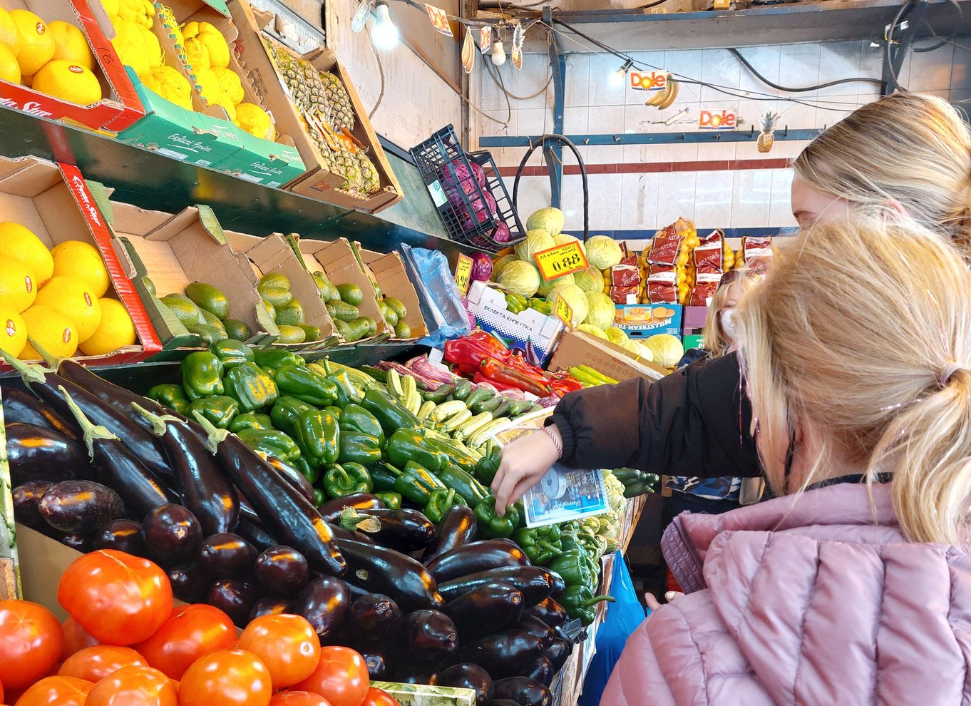 Thessaloniki: Græsk madlavningskursus, markedsbesøg og frokost