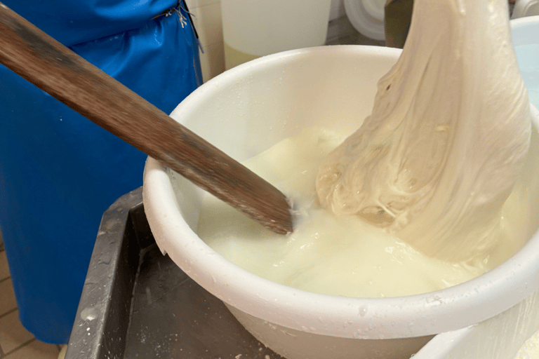 Martina Franca: Mozzarella and Pasta Workshop with Farm Tour Shared Tour, Workshops with Tasting