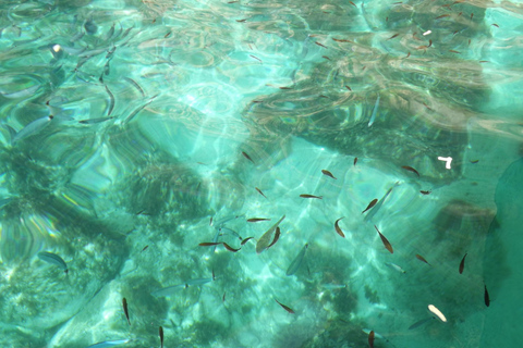 Comino:Blaue Lagune, Kristalllagune, Höhlen, Privatboot Malta