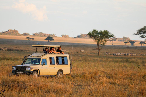 15 dagars safari med det bästa av Kenya och Tanzania med Zanzibar Beach