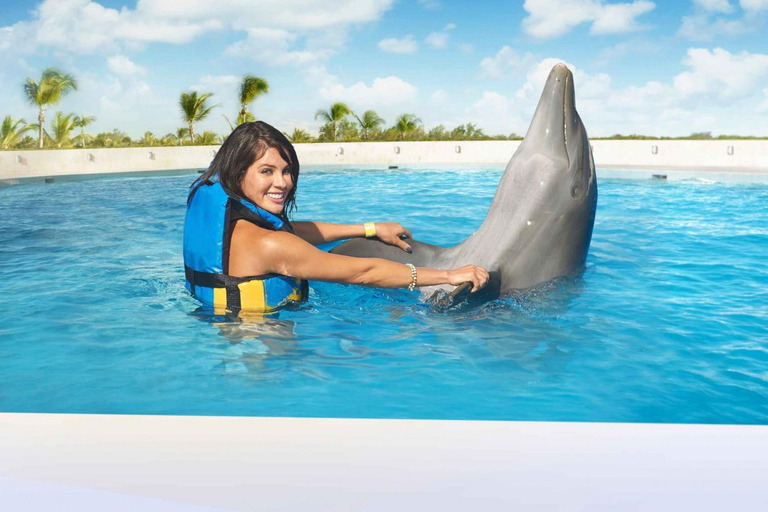 Aventura con delfines y encuentro interactivo en Punta CanaNado real con delfines