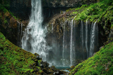 Tokio: Excursión privada de un día a Nikko con visita al Santuario de Toshogu