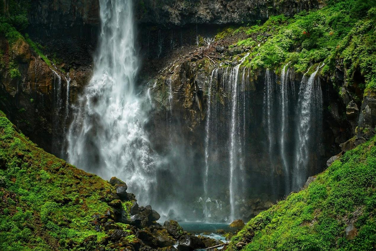 Tóquio: Viagem privada de 1 dia a Nikko com visita ao Santuário Toshogu