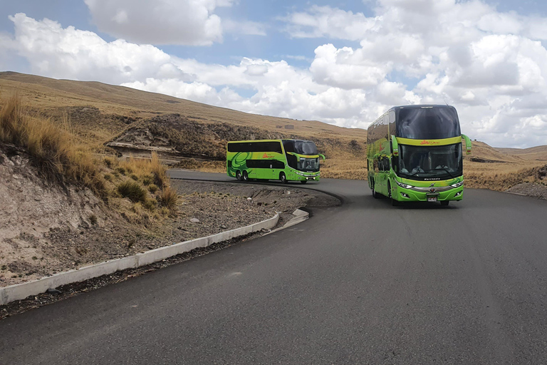 Ônibus direto Cusco Puno