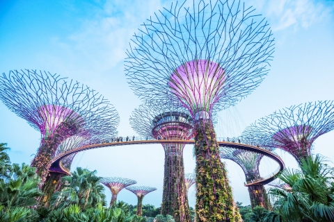 Singapour : Go City All-Inclusive Pass avec plus de 35 attractionsPass 3 jours