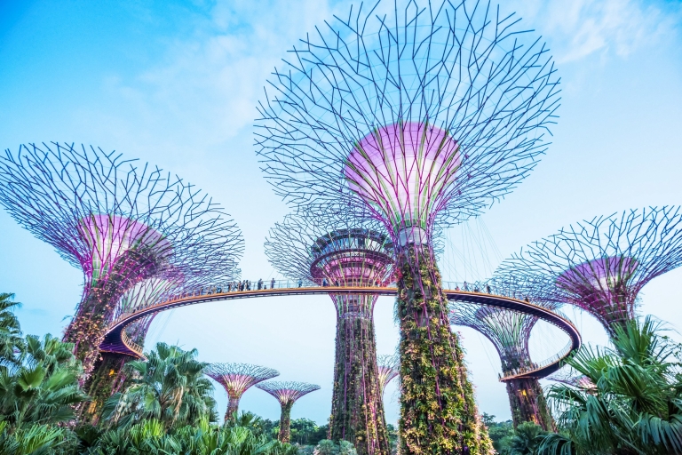 Singapore: Go City All-Inclusive Pass with 35+ Attractions 3-Day Pass
