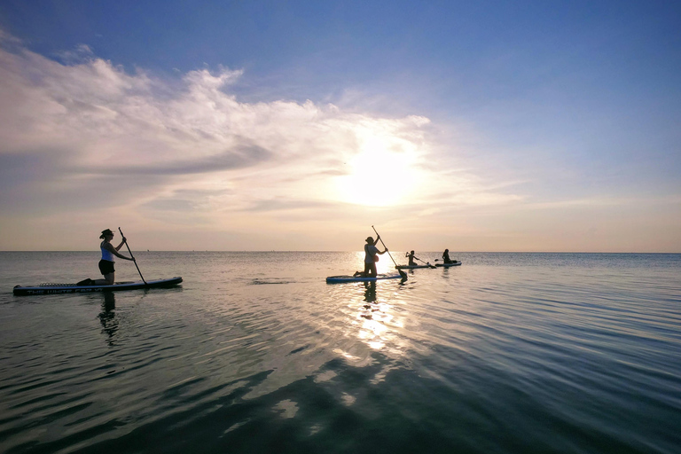 Zanzibar: Unik guidad mangrovetur med SUP eller kajak