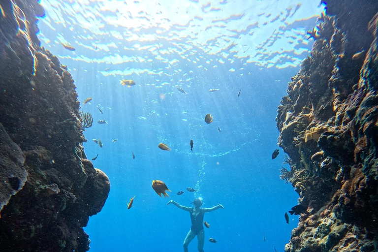 Pemuteran Bali: Menjangan Island Snorkeling Trip with Lunch
