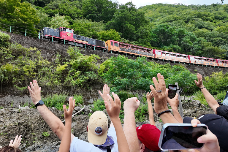 Kyoto: Arashiyama Highlights & Hozu River Boat Private Tour Private Tour (Pay Boat Cruise & Tickets on Site)