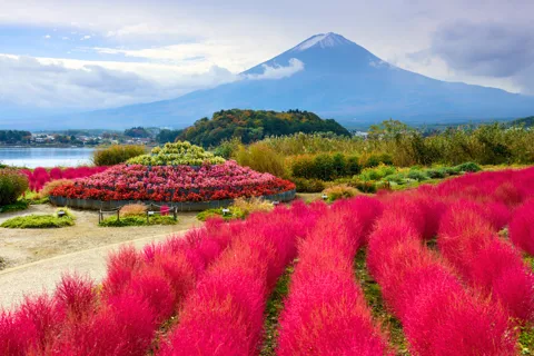 Tokyo: Mount Fuji Highlights Tour with Kawaguchi Lake Cruise