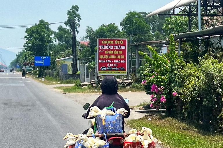 Circuit en boucle Easy Rider depuis Hoi An, Da Nang via le col de Hai Van