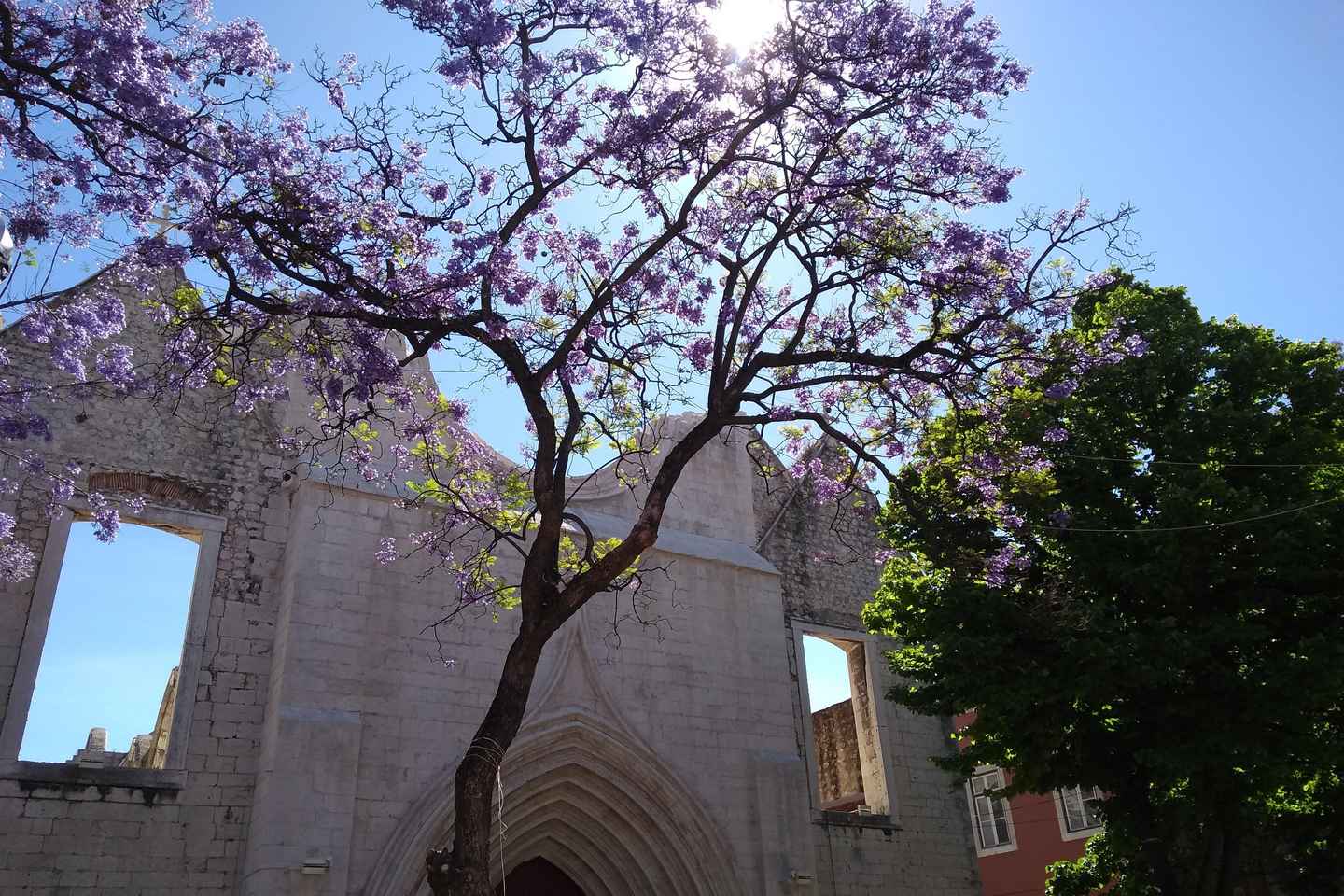 Discover the real Lisbon with a local Guide - Discover the real Lisbon with a local Guide