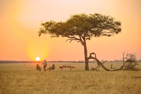 Avventura Safari di 5 giorni in Tanzania, Viaggio in Africa