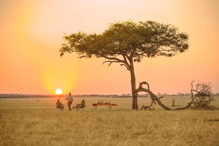 Safari de 5 días en Tanzania, Viaje por África