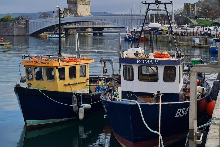 Conwy: Guided Walking Tour of Conwy Town