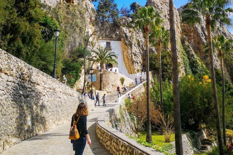 من جافيا وموريرا إلى غواداليست وألتيا