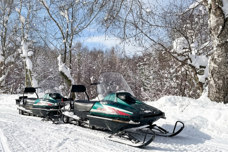 Hokkaid: Lake Shikotsu Ice Festival & Lake Toya Day Trip