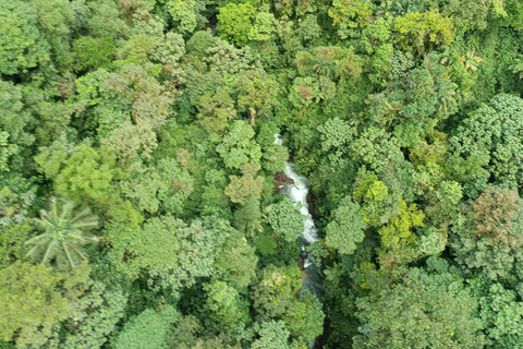 Forêt nuageuse de Mindo PRIVÉE ; oiseaux, chocolat, chutes d&#039;eau