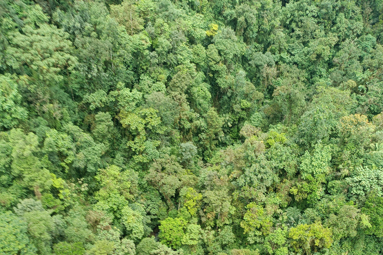 Foresta nuvolosa di Mindo PRIVATA; uccelli, cioccolato, cascate