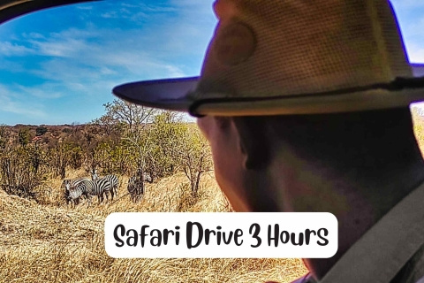 Victoria Falls: Safari Game Drive Savannah Adventures Private Tour