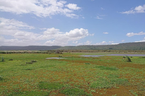 Arusha: Lake Manyara National Park Full-Day Tour