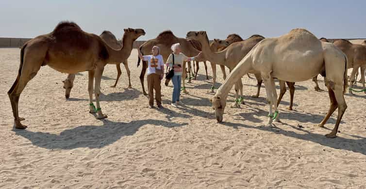 Manama: Tour from the South to the North of Bahrain photo 7