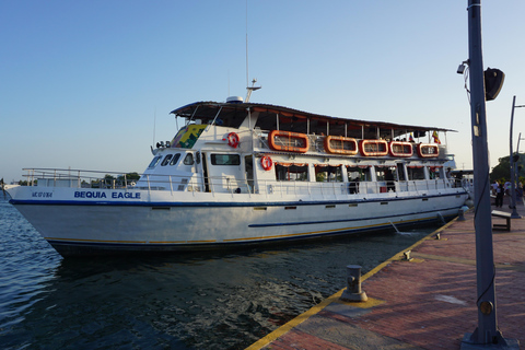 Carthagène : excursion en bateau de nuit avec dîner et open barCARTAGENA : Excursion en bateau de nuit blanche avec dîner et open bar