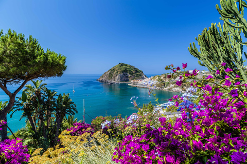 Naples: Discover Amalfi Coast with Sorrento & Positano Small Group Tour - no lunch