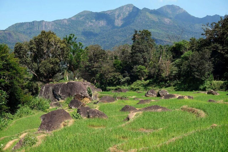 康提：米穆尔村一日游（含午餐及导览）康提：米穆尔村一日游（含午餐及导游服务）